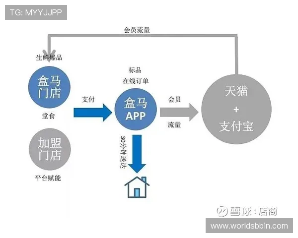 多宝电子集团简介：行业合作、技术研发及市场竞争策略的深度剖析